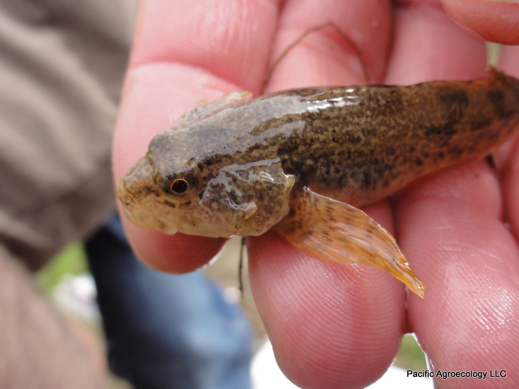 Environmental Policy and Economics