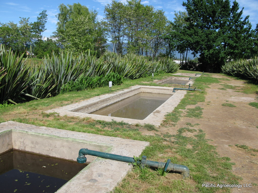 Water Resources and Management